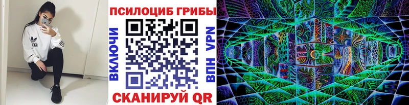 кракен маркетплейс  Североуральск  Псилоцибиновые грибы Cubensis 
